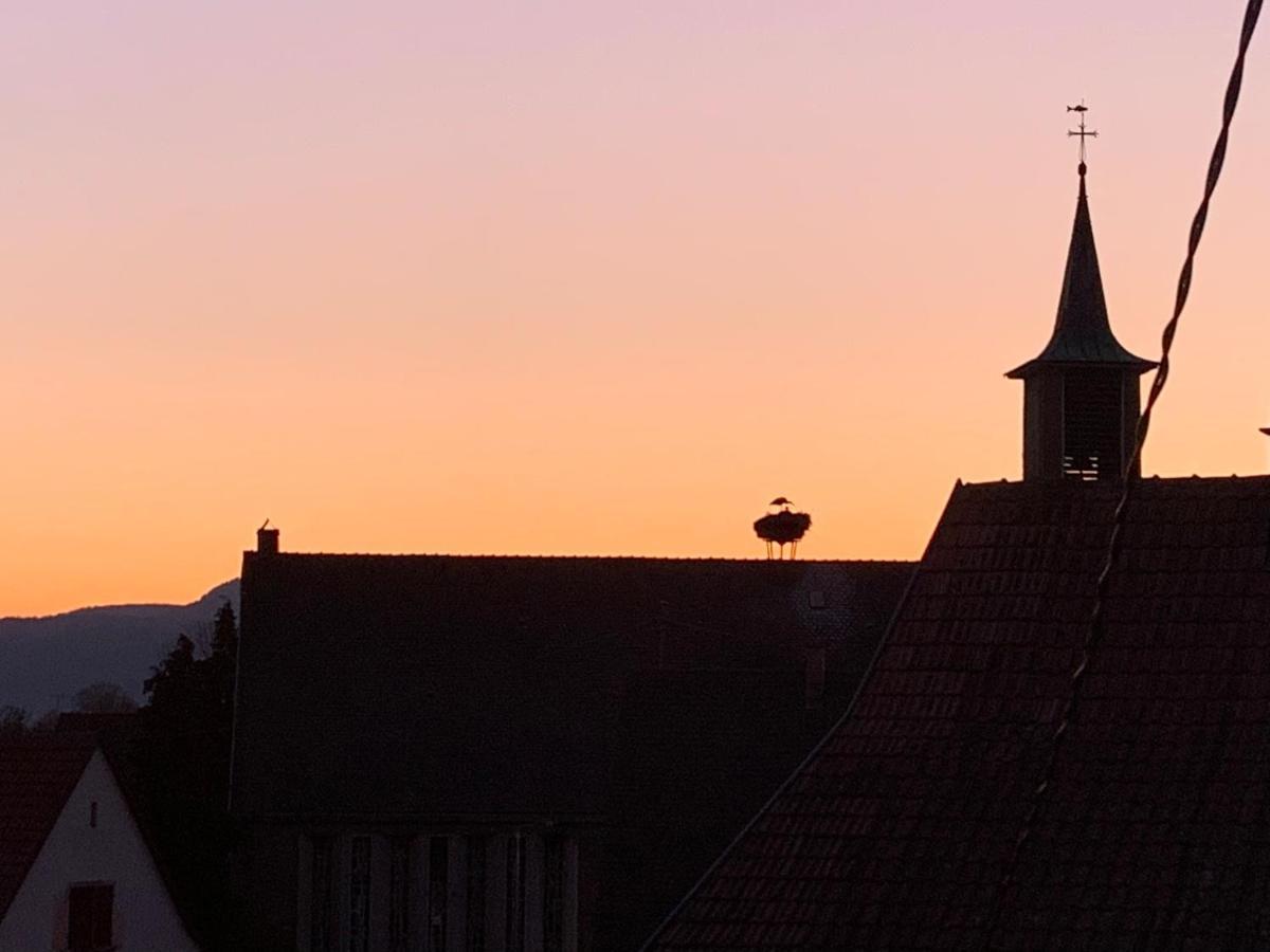 Nid De Cigogne Illhaeusern Exterior foto